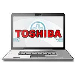    Toshiba Satellite L300D